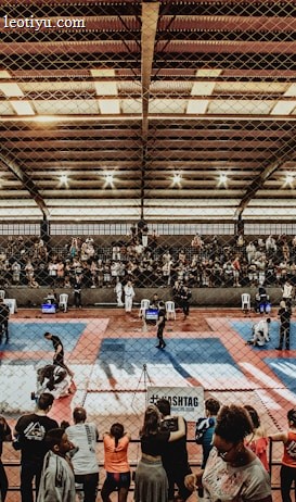 A large indoor arena with a high ceiling, filled with an audience seated on bleachers. In the center, two fighters are engaged in a martial arts competition on blue and red mats. The scene is captured through a mesh fence, adding a textured foreground.